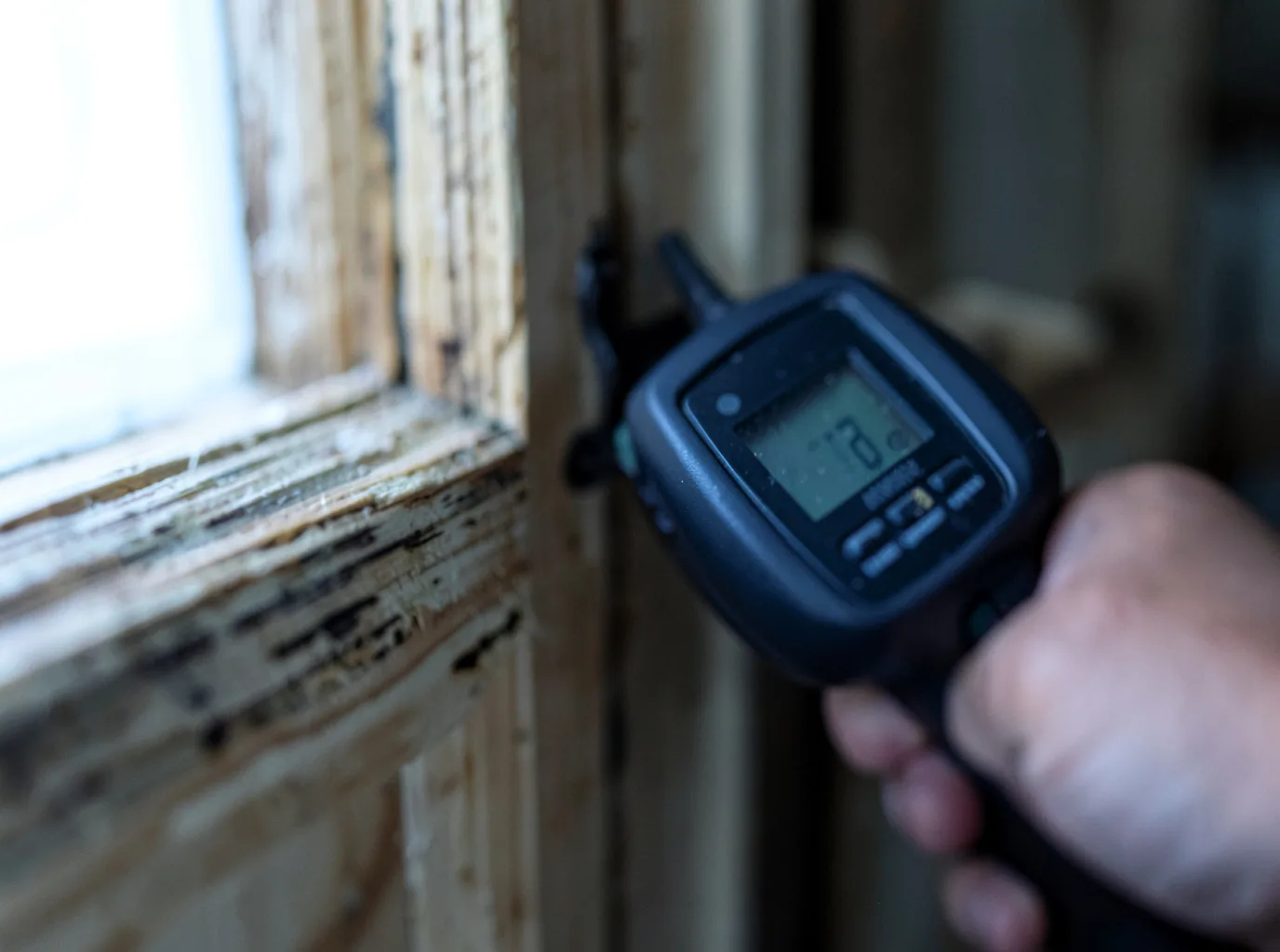 Moisture Inspection And Documentation in Poland, NY